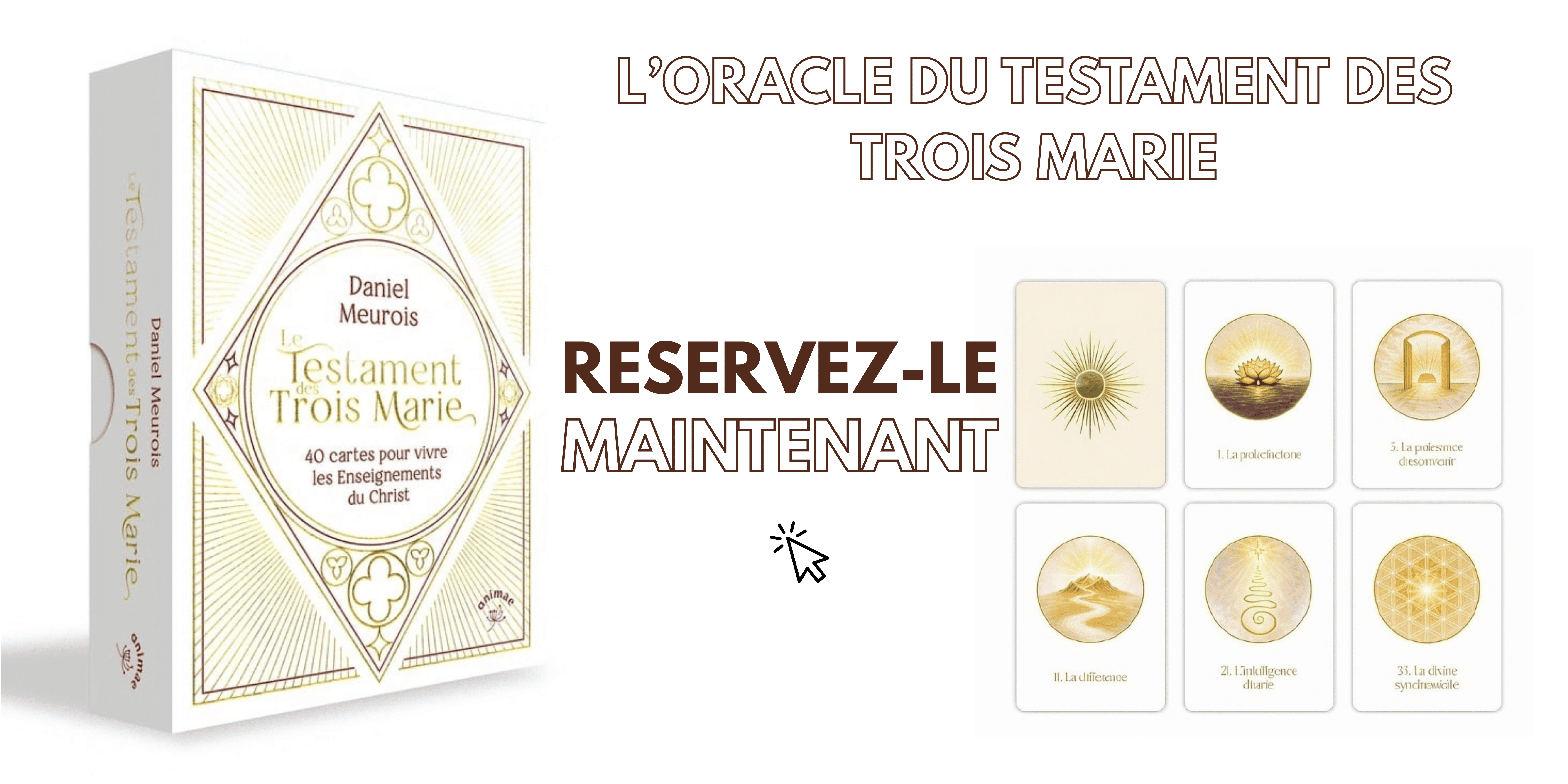 bannière oracle